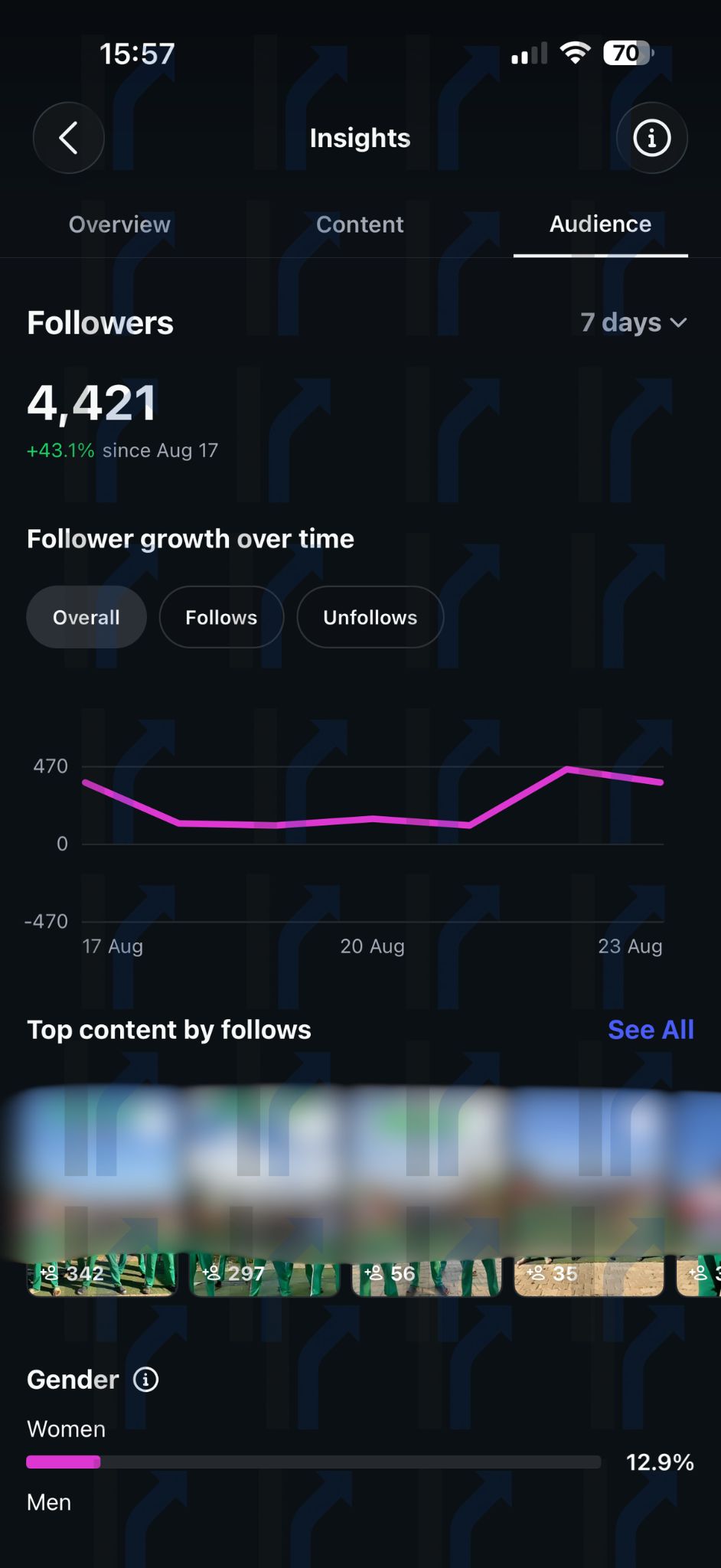 Instagram Follower-Wachstum